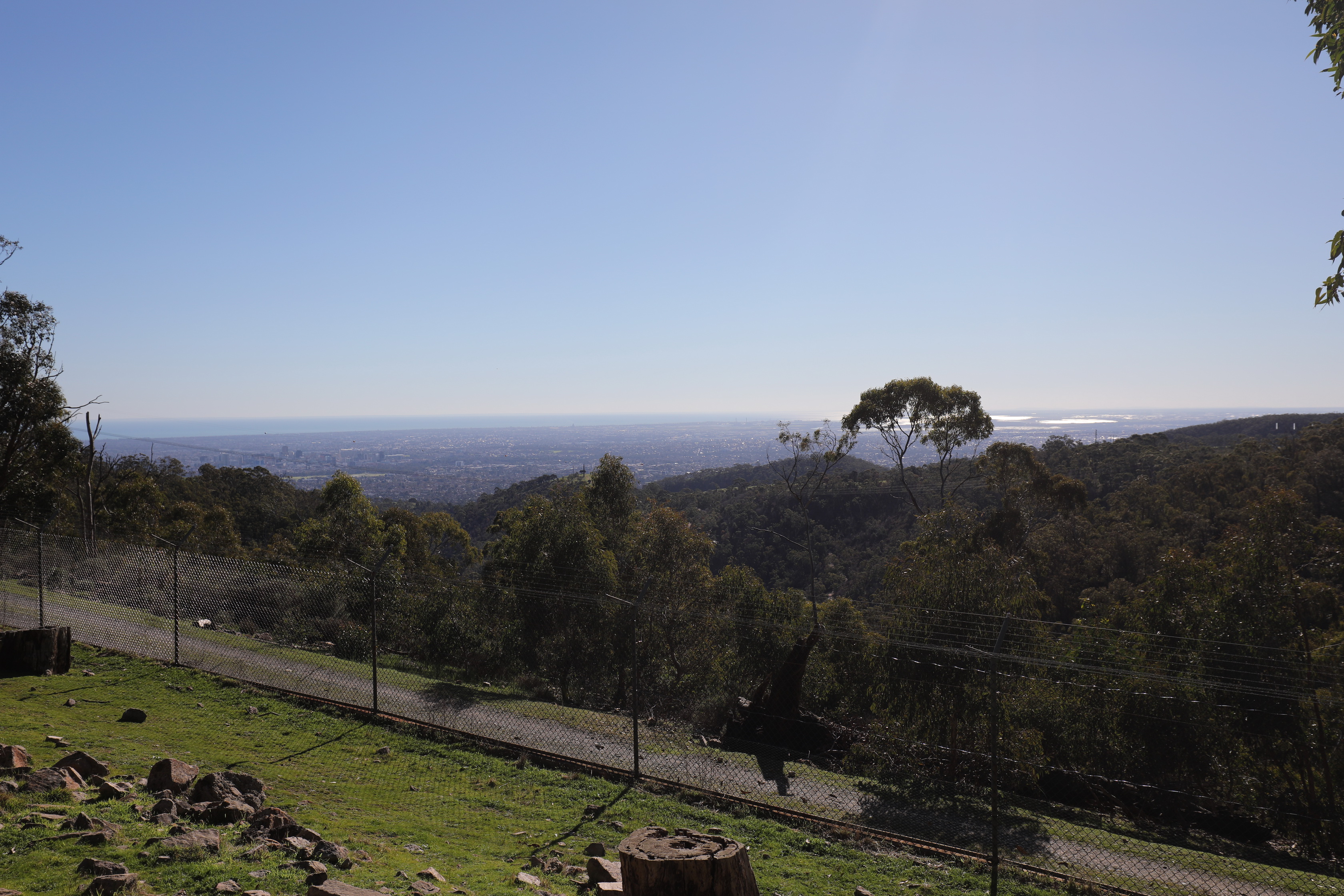 2019 07 19 14 09 40 Canon EOS 5D Mark IV 0022